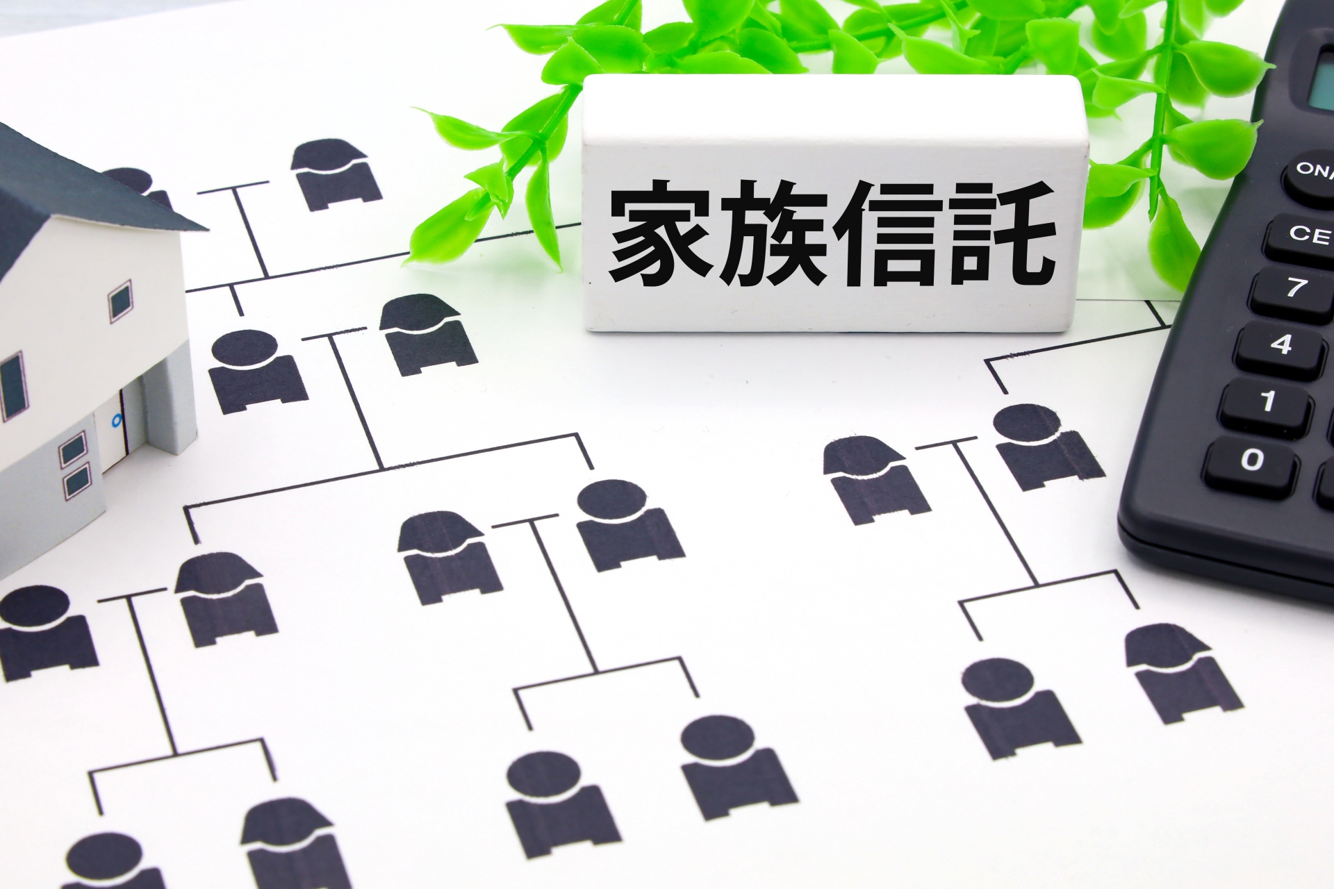 解決事例⑤：家族信託